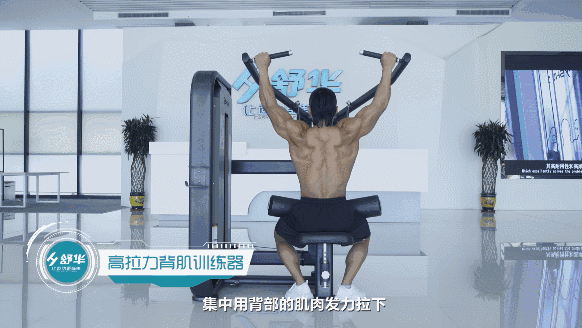 健身器材 健身器材