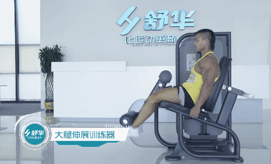 健身器材 健身器材