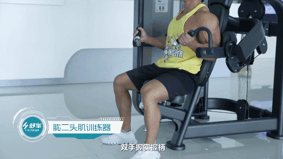 健身器材 健身器材