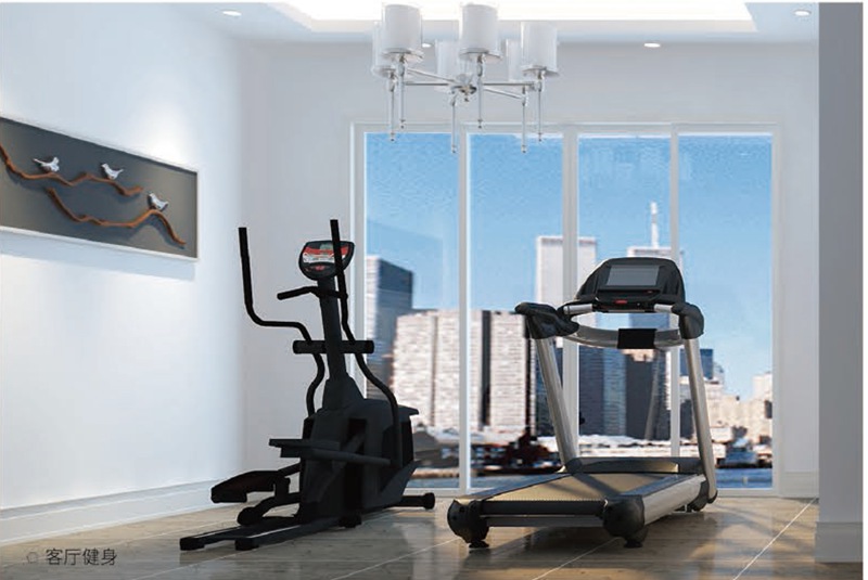 广西健身器材厂家--私家健身房器材解决方案 广西健身器材厂家--私家健身房器材解决方案