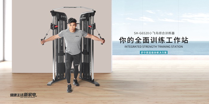 开元健身器材-小飞鸟综合训练器SH-G6520 开元健身器材-小飞鸟综合训练器SH-G6520