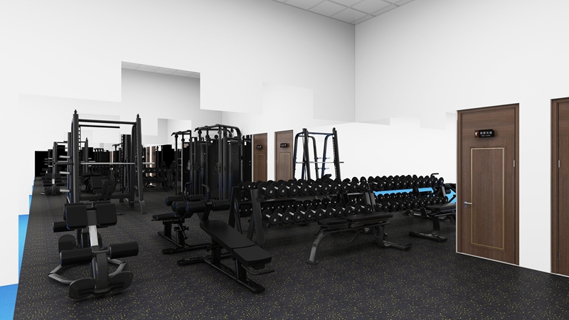 企事业单位健身房-力量器械 企事业单位健身房-力量器械
