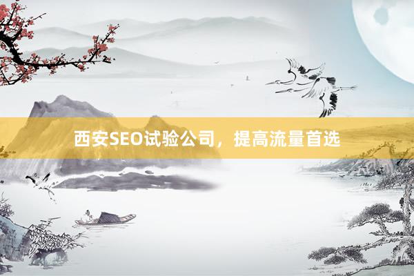 西安SEO试验公司，提高流量首选