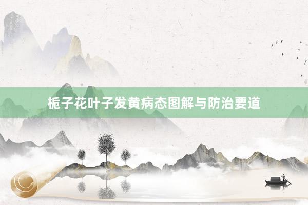 栀子花叶子发黄病态图解与防治要道